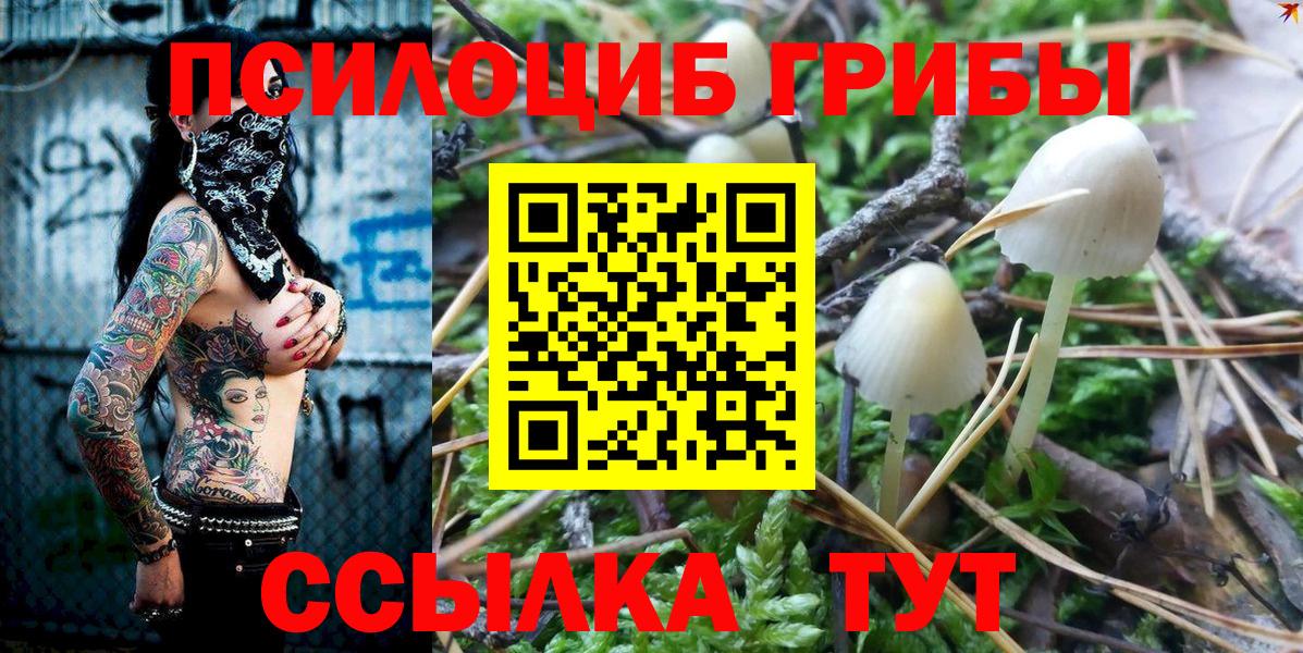Егорьевск  Галлюциногенные грибы мухоморы  купить наркотик  Псилоцибиновые грибы прущие грибы  Вход с VPN 